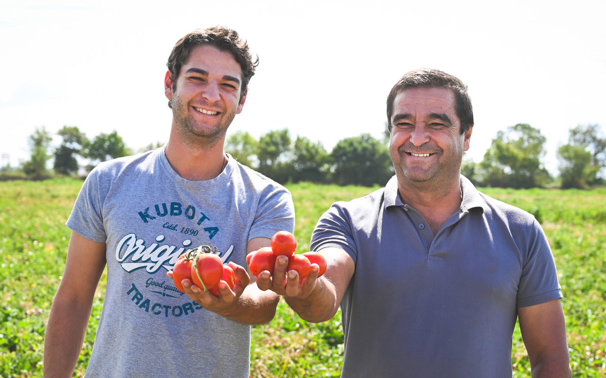 tomatbonde felix ketchup