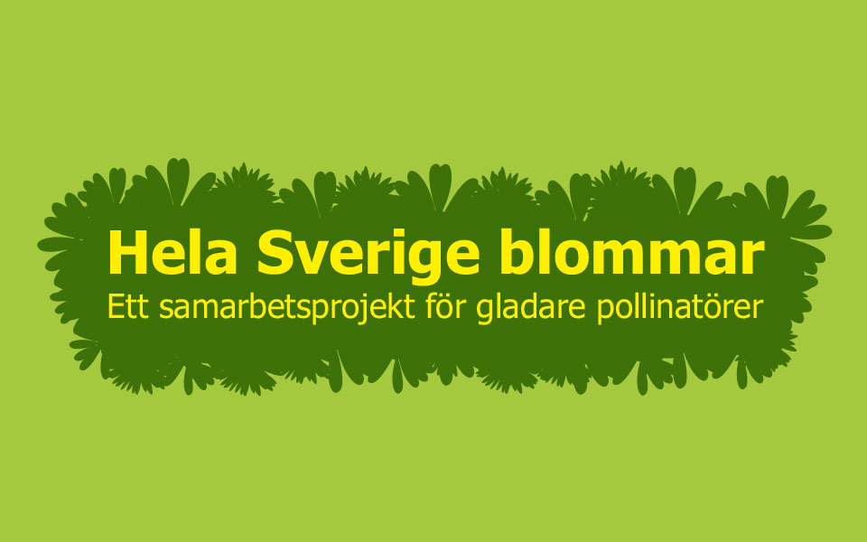 Logotyp för Hela Sverige Blommar