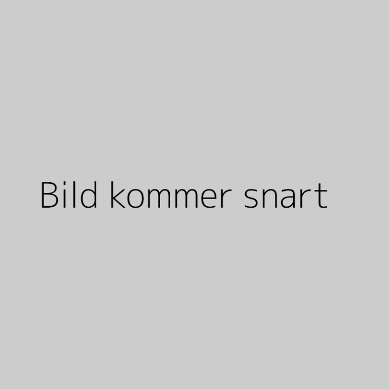 Fransk Fisksoppa